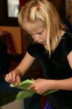 IMG_0084